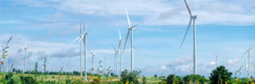 A field of wind turbines