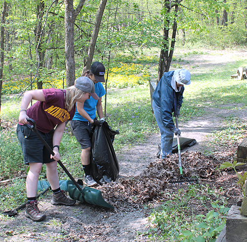 Three people raking and bagging leaves in the woods. 