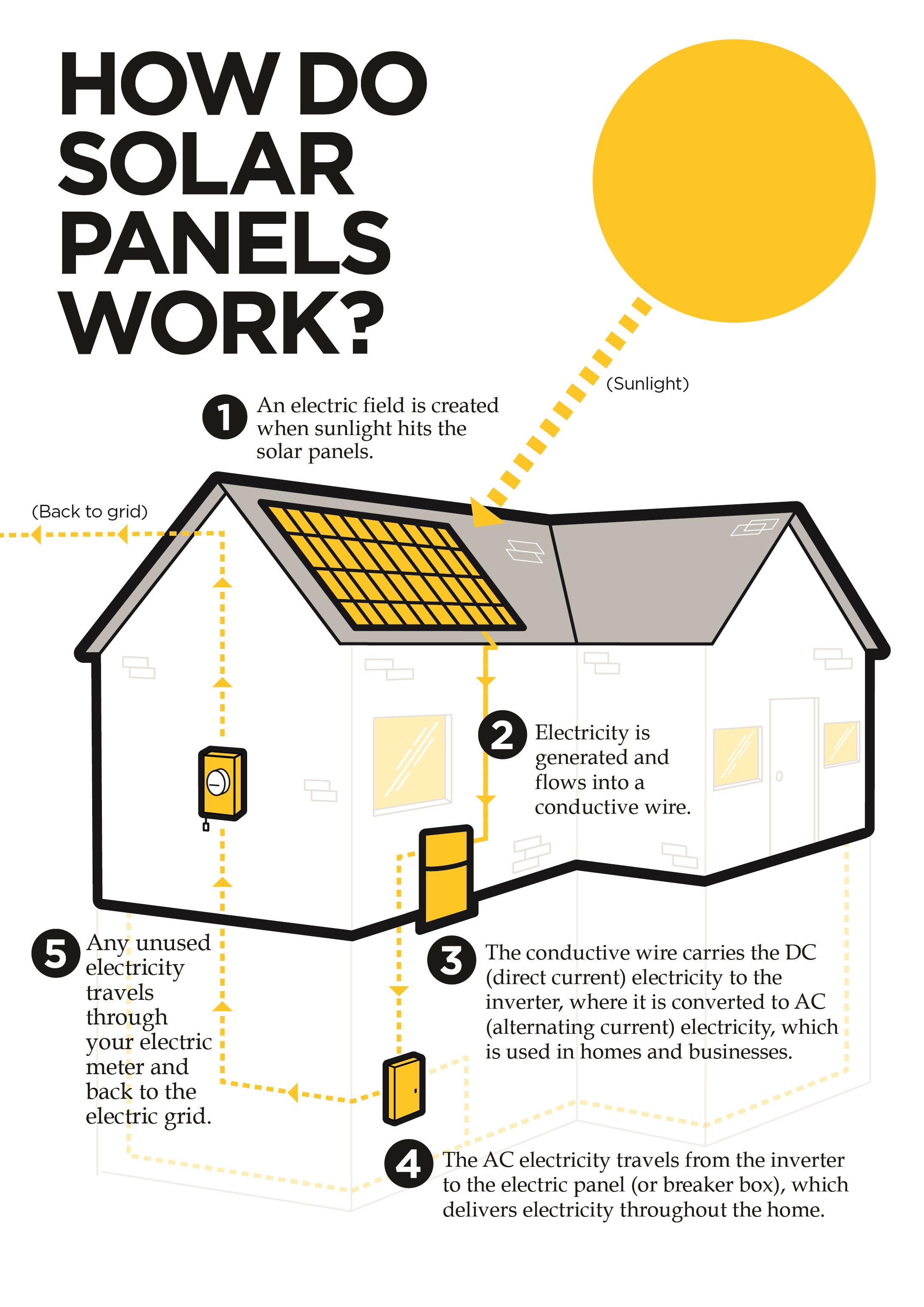 Solar Panel Cleaning