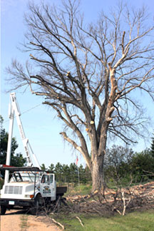 Wright-Hennepin Electric's aerial bucket makes for easy branch trimming