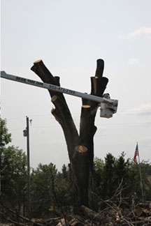 Wright-Hennepin Electric employee uses aerial bucket to finish trimming tree