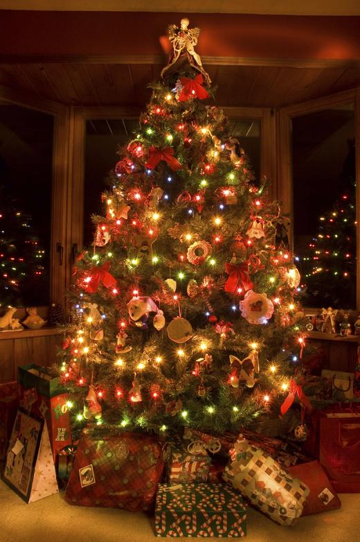 LEDs let you trim the tree efficiently