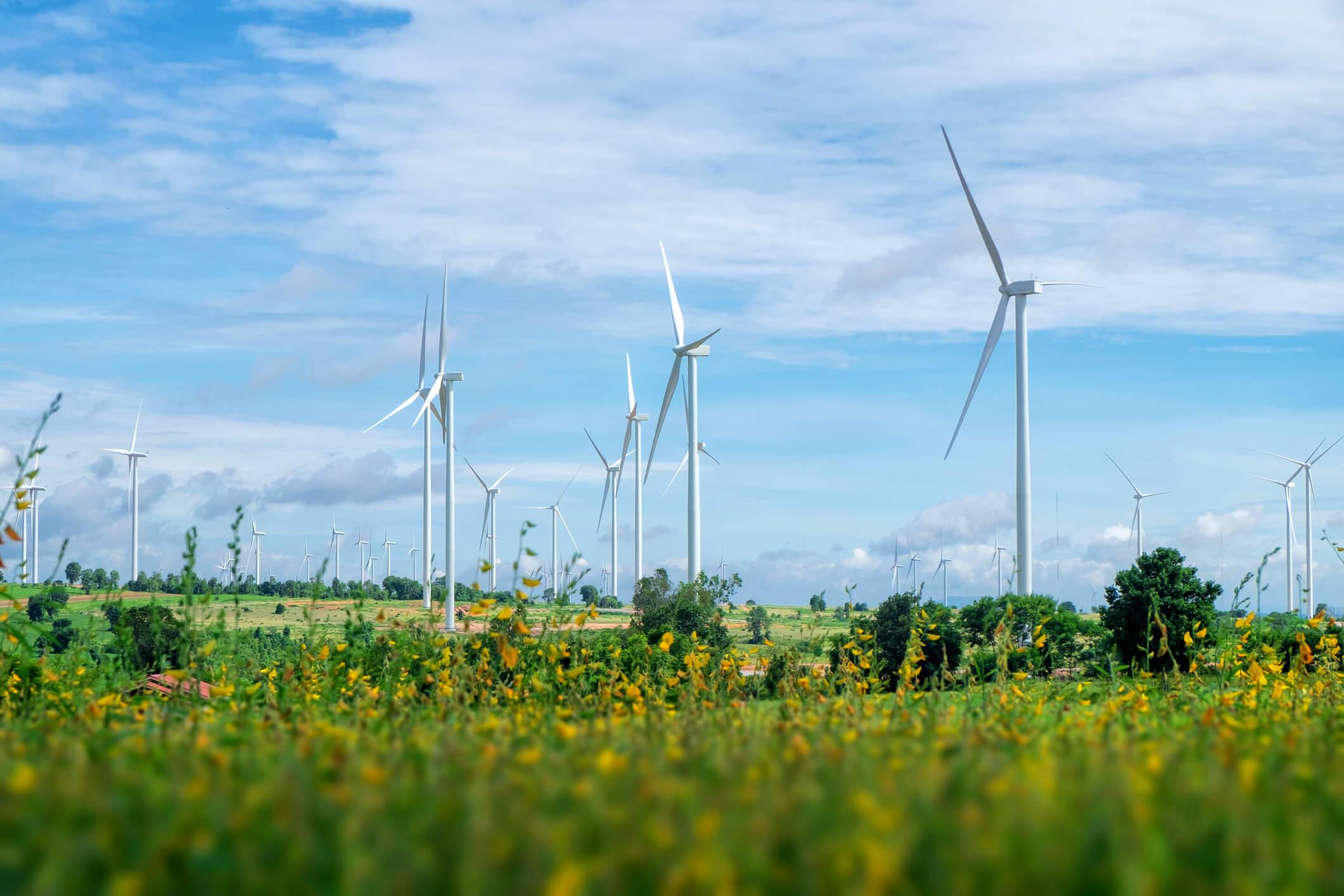 A field of wind turbines