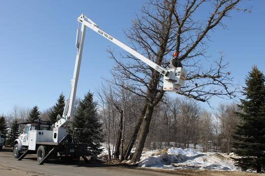 Wright-Hennepin Electric's employee uses aerial bucket to work on trees