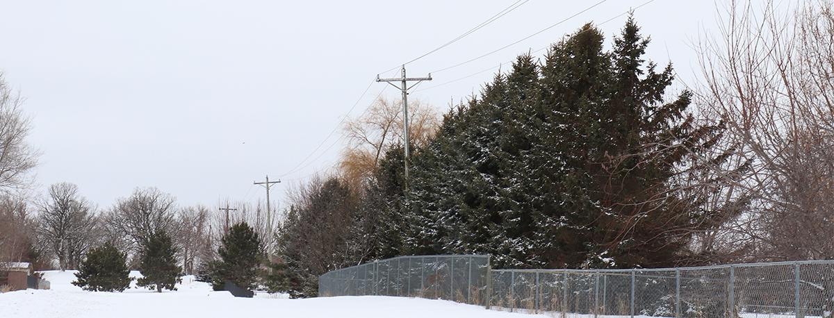 View of town with trees near the powerlines