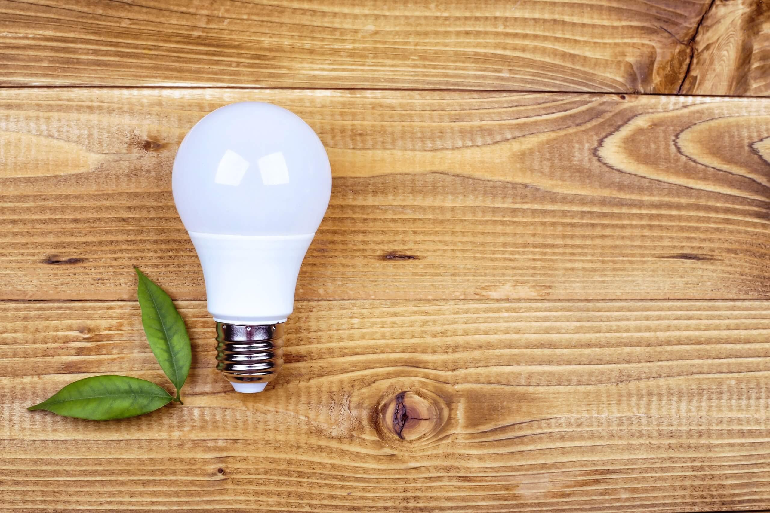 A lightbulb sits on a woooden table next to two leaves