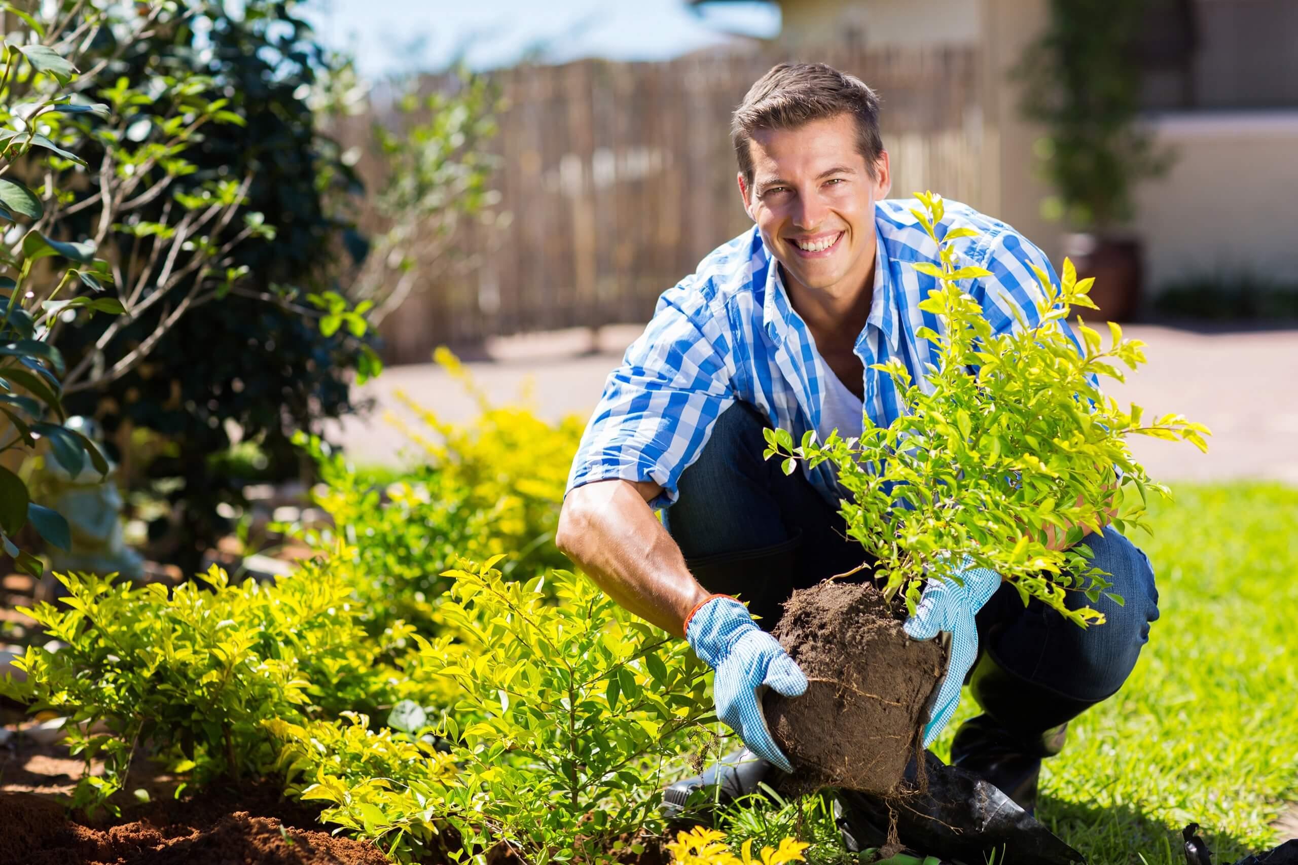 A man outside planting his plants