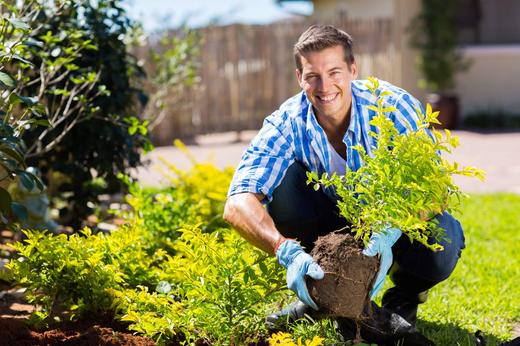 A man outside planting his plants