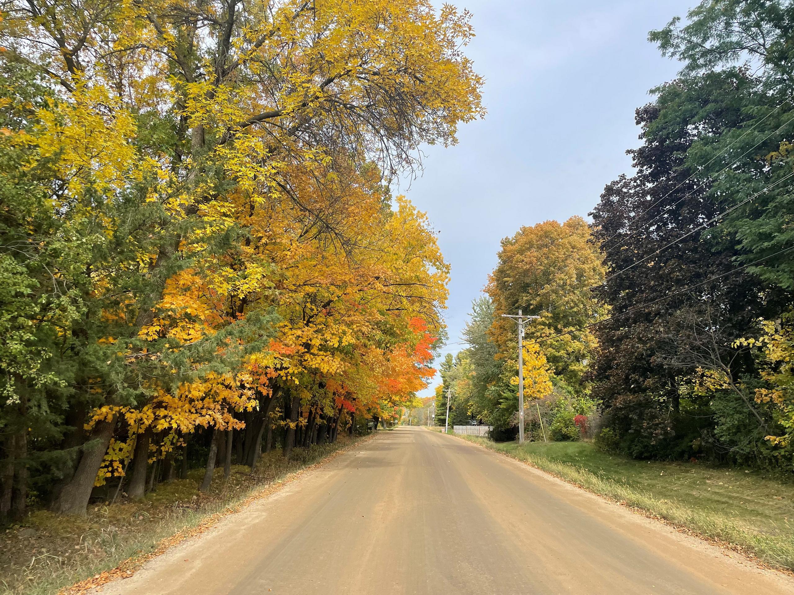 View of town with trees near the powerlines