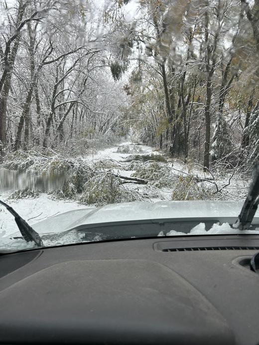 Why was the Halloween snow so impactful?