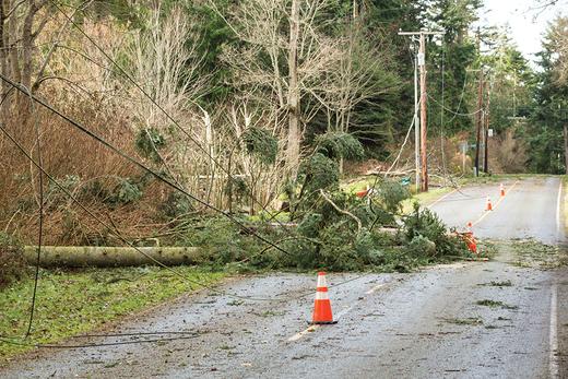 Safety around downed power lines