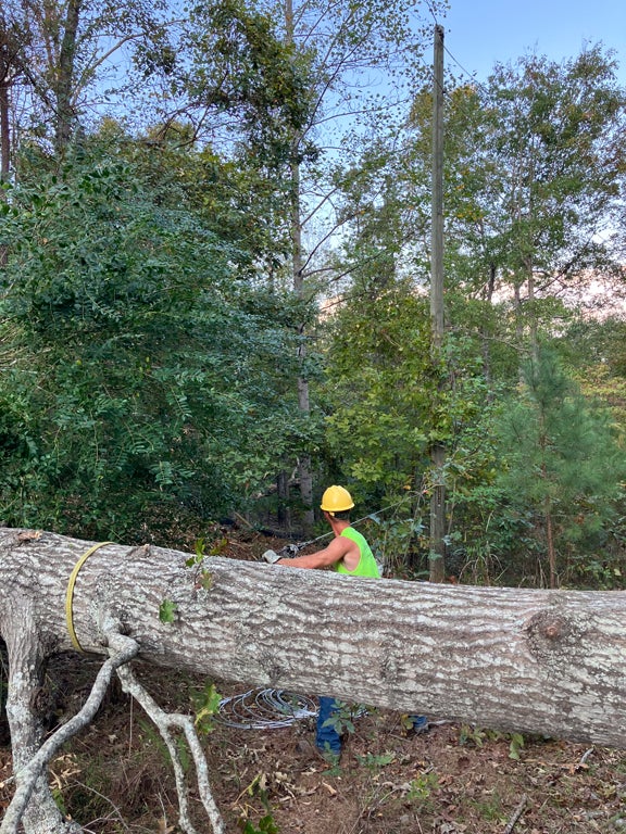 LINEMAN WITH DOWNED TREE