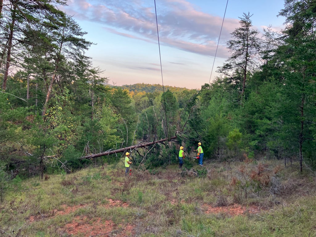 multiple linemen clearing downed tree