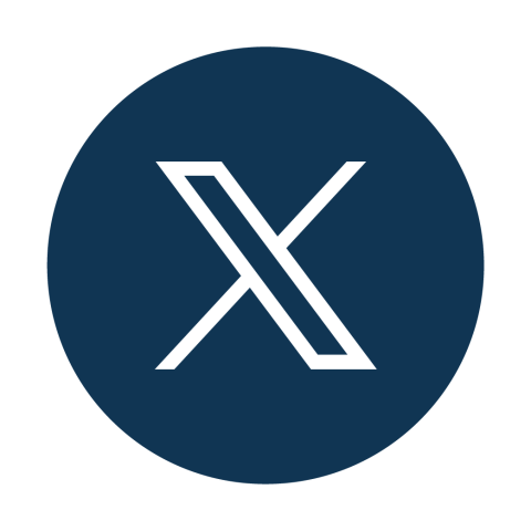 x icon